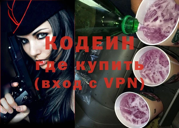 СК Кодинск